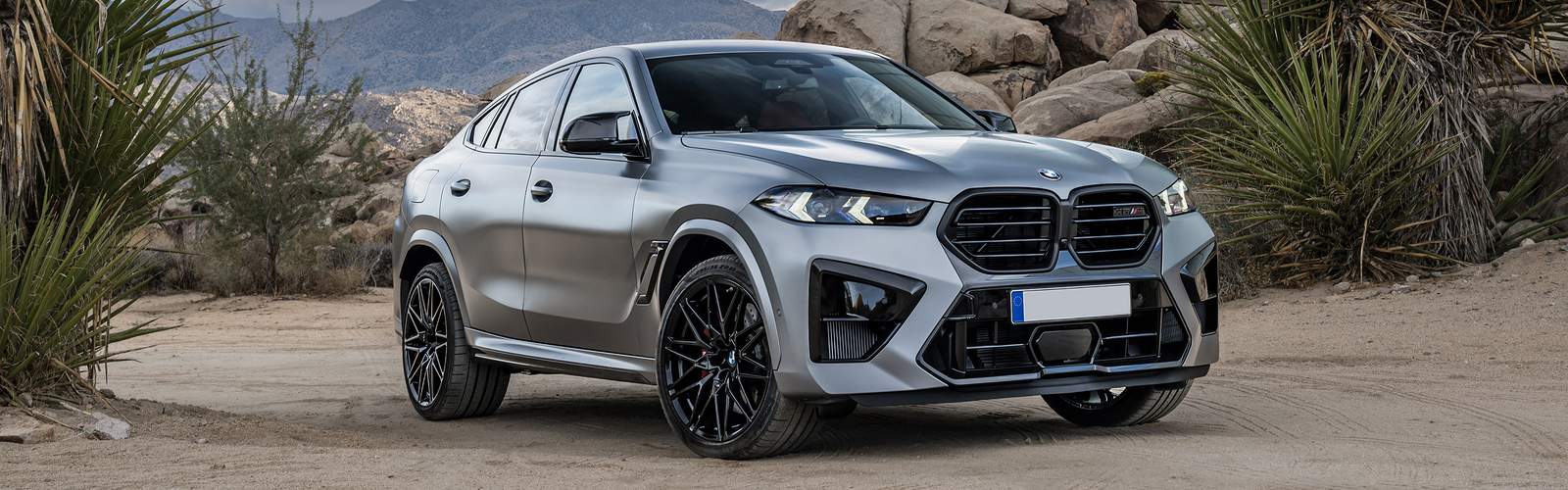 BMW X6 M
