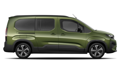 Grupo Rojas Automoción, Concesionario Oficial Peugeot, Citroën, Opel ...