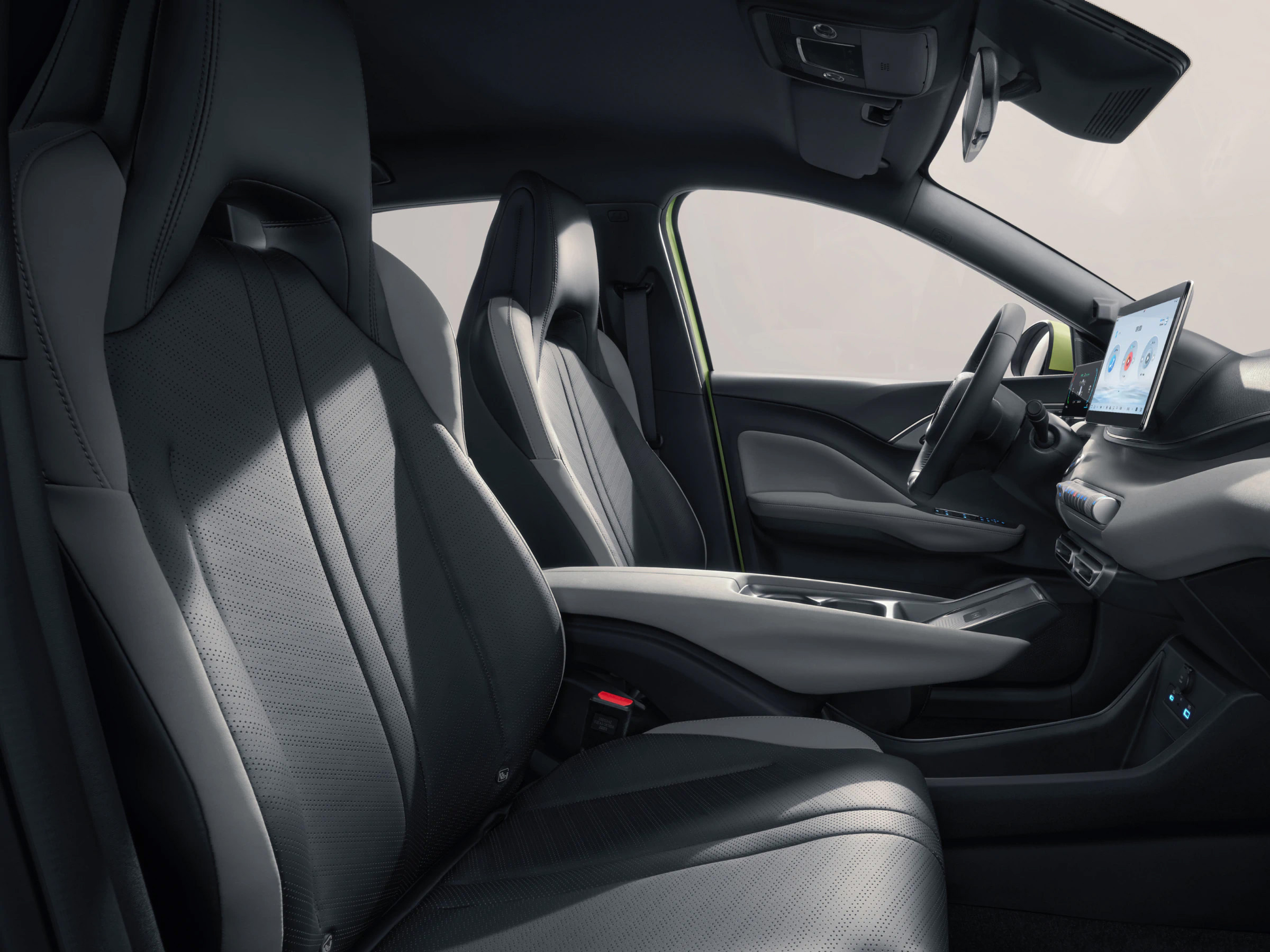 BYD DOLPHIN SURF à partir de 199 € TTC/mois 3 Pyrénées-Atlantiques