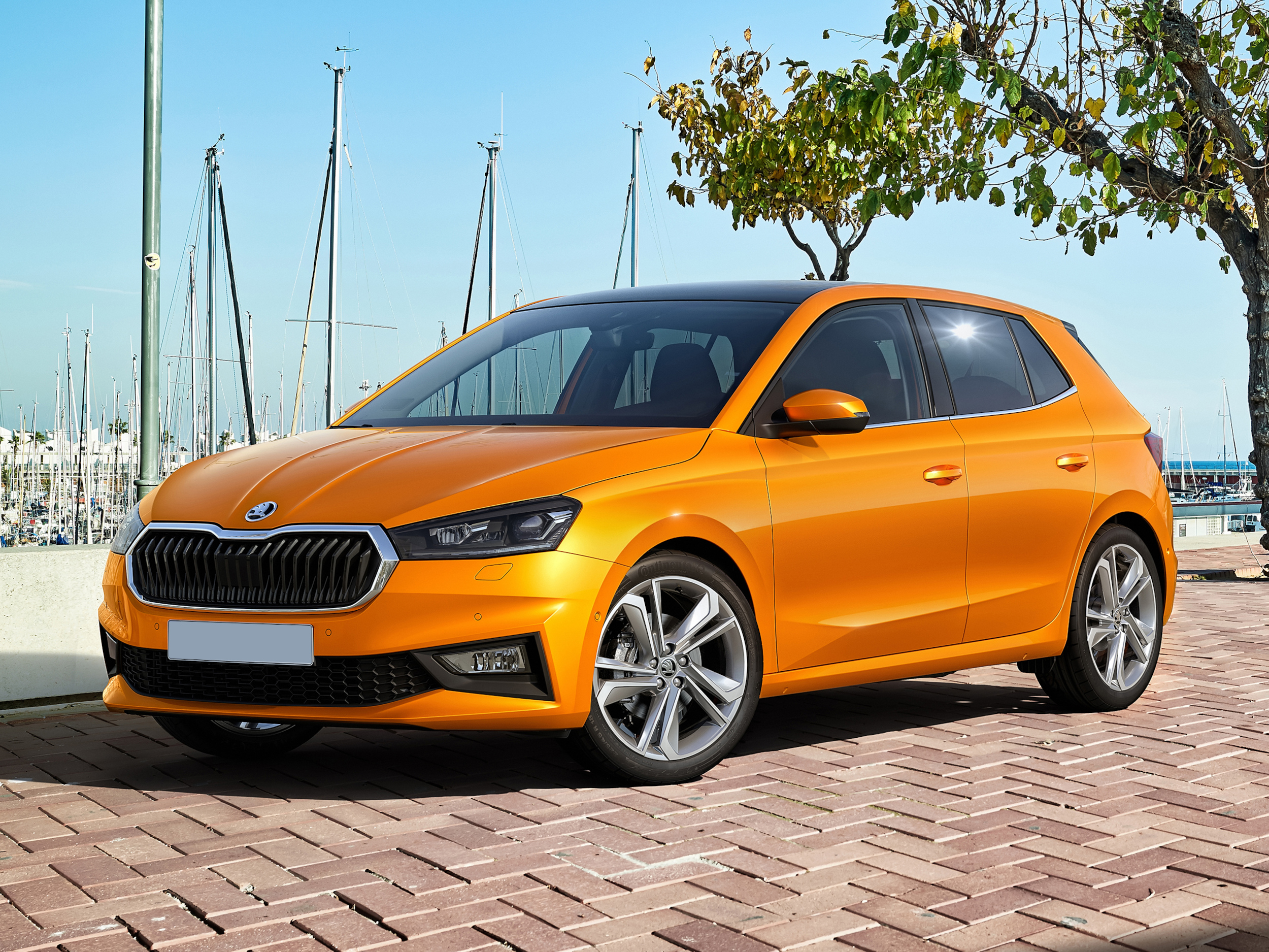 Fabia à partir de 209€/mois (1) sans apport 1 Pyrénées-Atlantiques