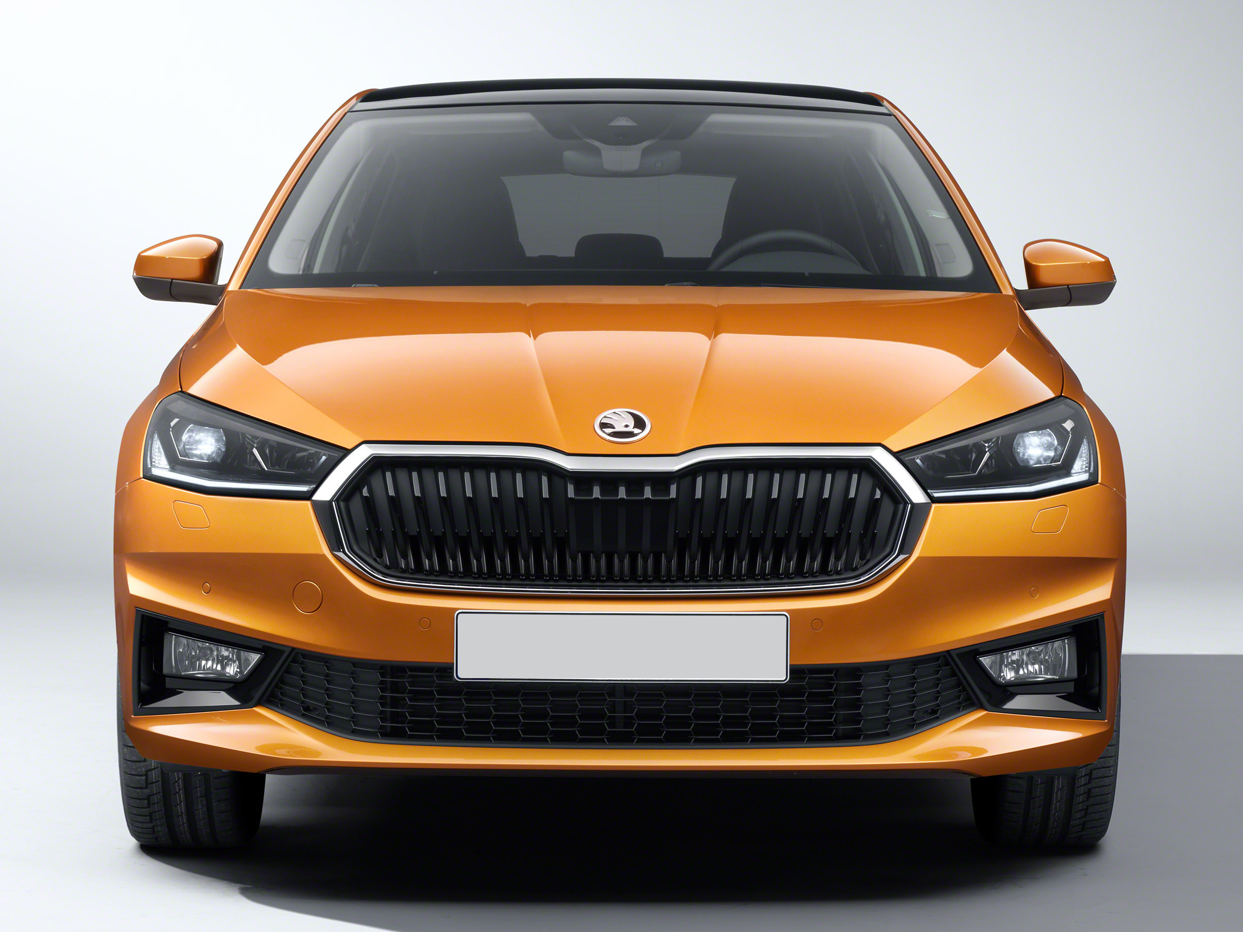 Fabia à partir de 209€/mois (1) sans apport 6 Pyrénées-Atlantiques