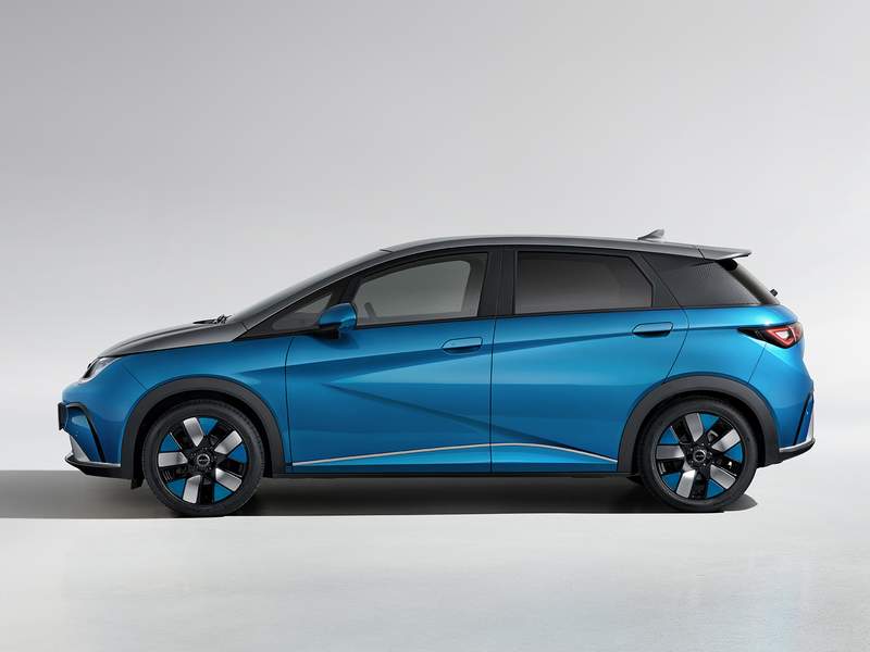 Dettagli nuova BYD Dolphin in vendita a Avellino , Napoli, Avellino, Salerno