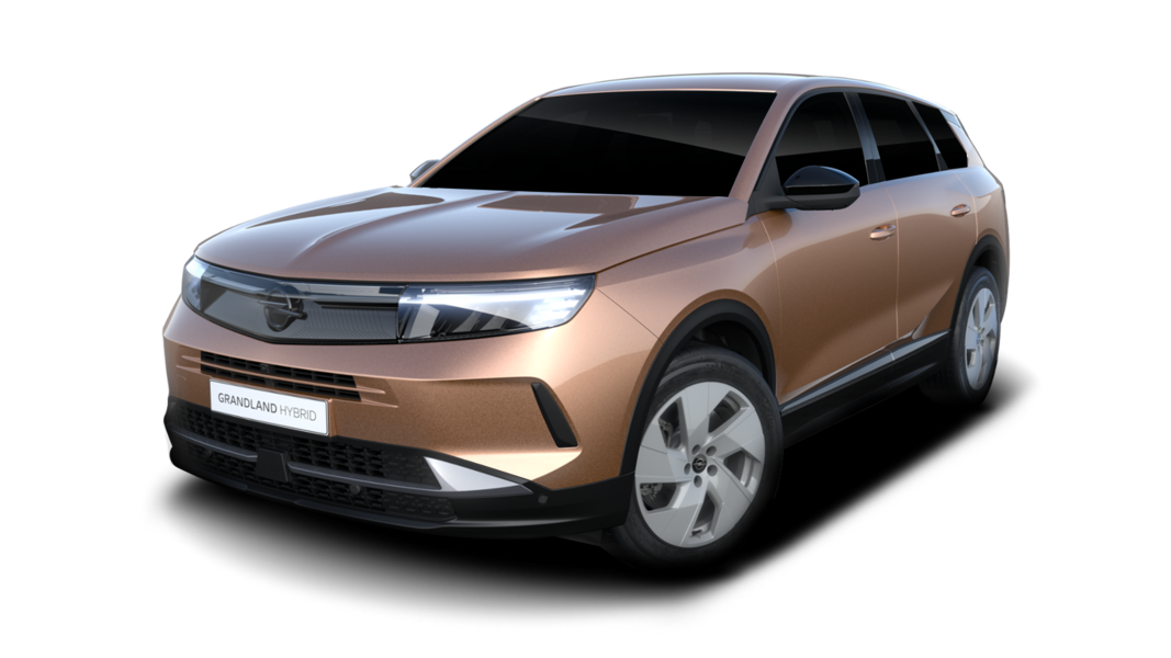 Nuovo Grandland Electric