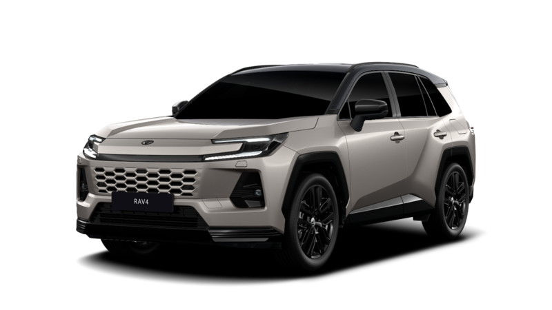 Toyota Rav4 SUV 5 Porte - 4 Usati Da € 9.400